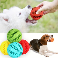 Interactive Elastic Dog Chew Toy for Small Dogs