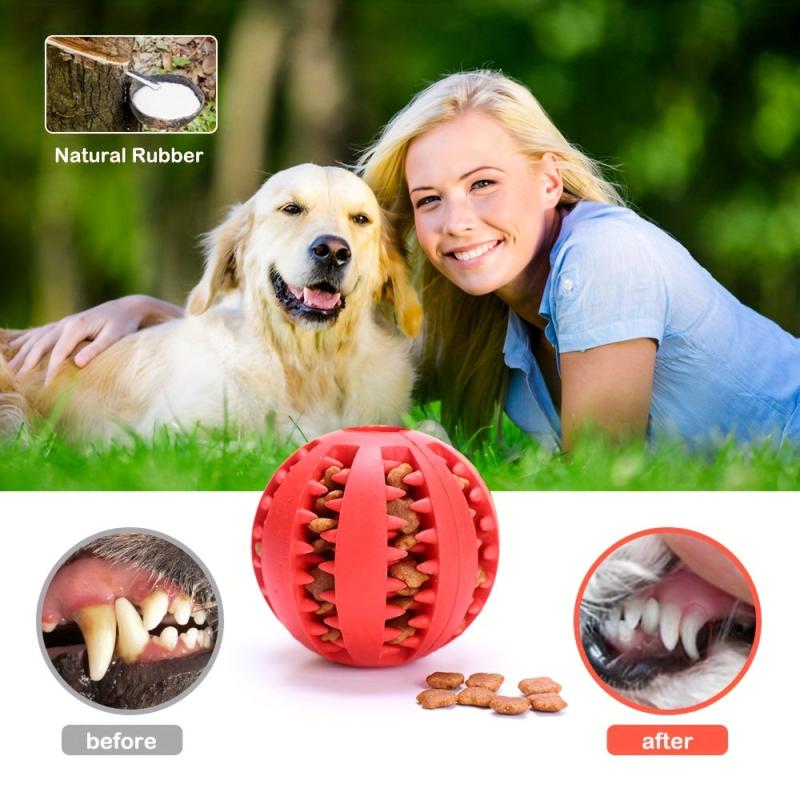 Interactive Elastic Dog Chew Toy for Small Dogs