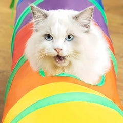 Colorful S Shaped Cat Tunnel Toy For Indoor Cats Kittens