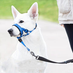 Gentle Leader Headcollar Dog Head Halter w/ Safety Strap No Pull Collar
