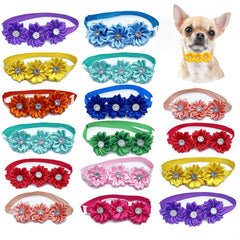 Charming Dog Collar & Bow Tie Set for Stylish Pups