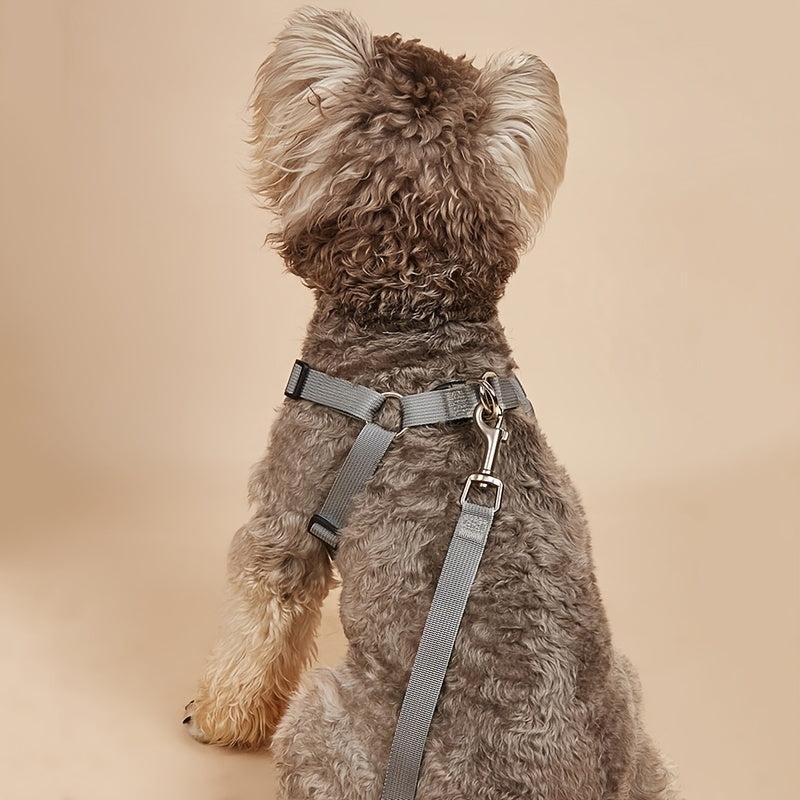 Reflective No Pull Pet Harness and Leash Set for Small and Medium Dogs and Cats