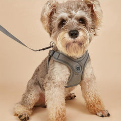Reflective No Pull Pet Harness and Leash Set for Small and Medium Dogs and Cats
