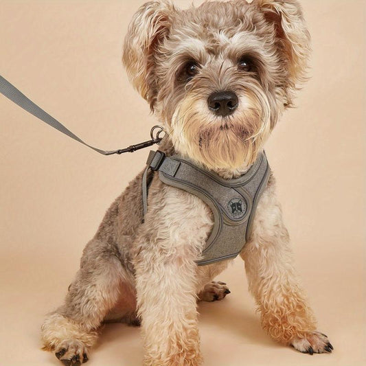 Reflective No Pull Pet Harness and Leash Set for Small and Medium Dogs and Cats