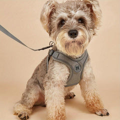 Reflective No Pull Pet Harness and Leash Set for Small and Medium Dogs and Cats