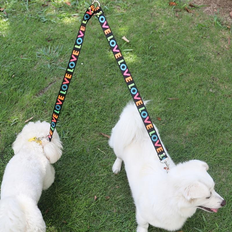 Dual Dog Leash for Small Dogs - Outdoor Walking and Training Leash