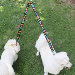 Dual Dog Leash for Small Dogs - Outdoor Walking and Training Leash
