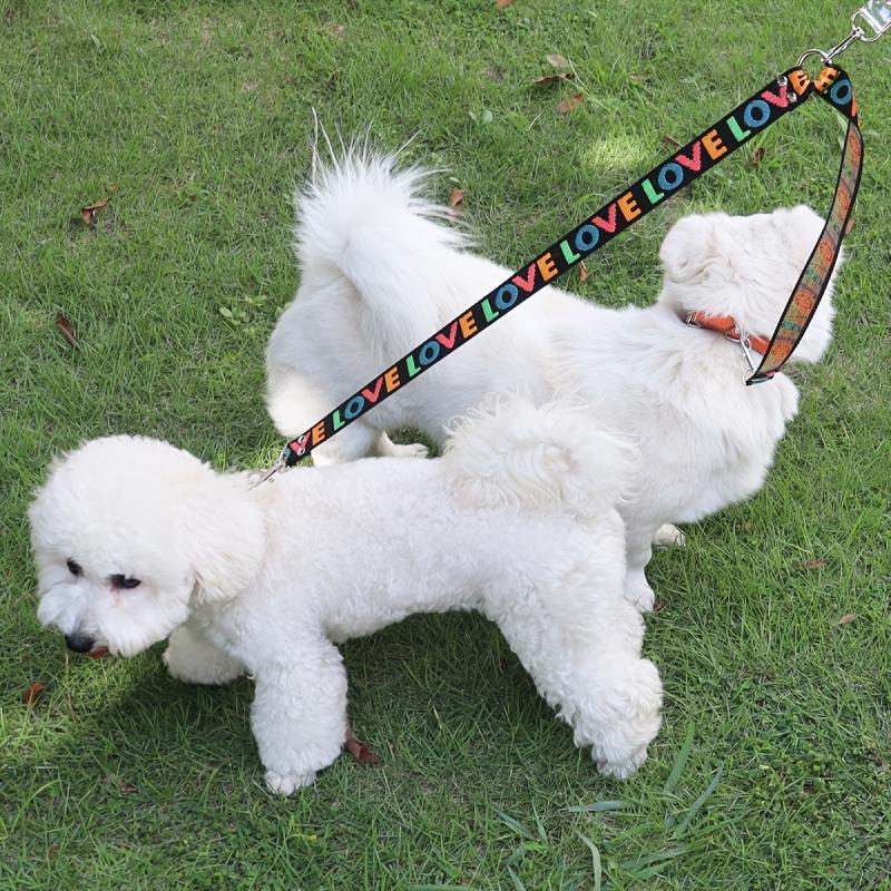Dual Dog Leash for Small Dogs - Outdoor Walking and Training Leash