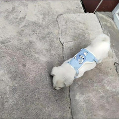 Soft Dog Harness Vest with Leash - Adjustable Dog Walking Harness