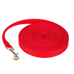 Interactive 100ft Long Puppy Leash for Agility Training