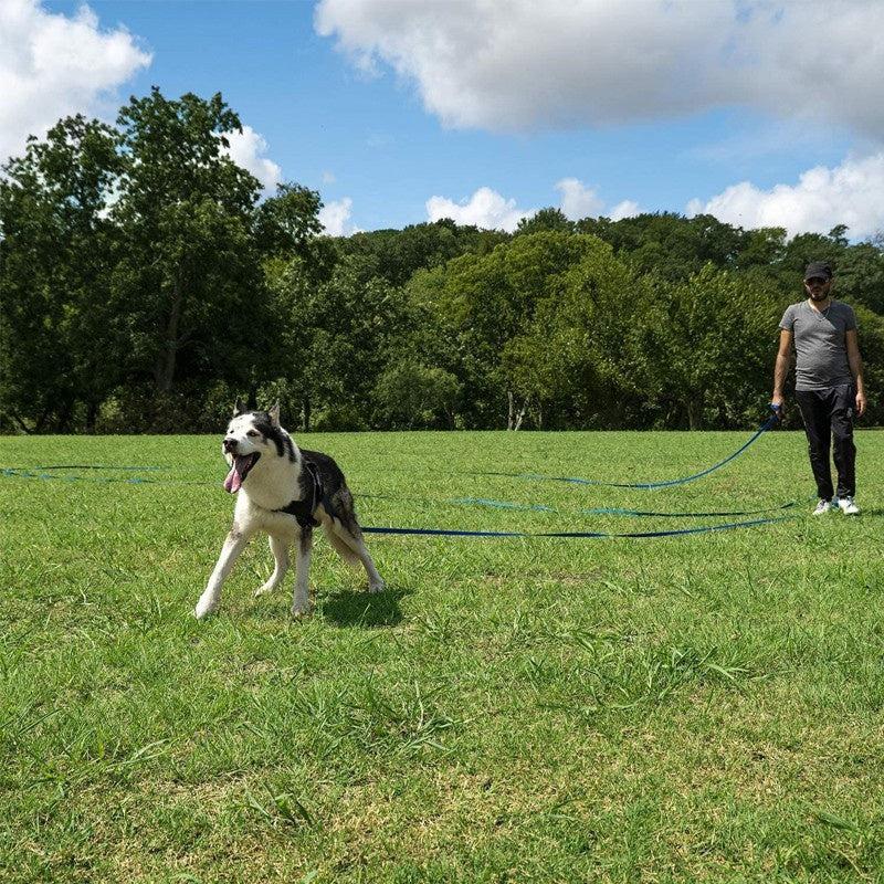 Interactive 100ft Long Puppy Leash for Agility Training