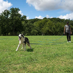 Interactive 100ft Long Puppy Leash for Agility Training