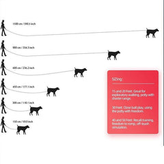 Interactive 100ft Long Puppy Leash for Agility Training