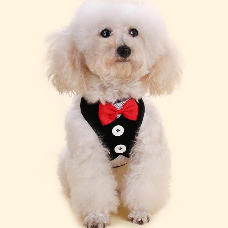 Bowtie Suit for Furry Tuxedo Harness Vest, Leash for Dogs
