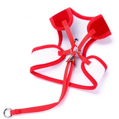 Bowtie Suit for Furry Tuxedo Harness Vest, Leash for Dogs