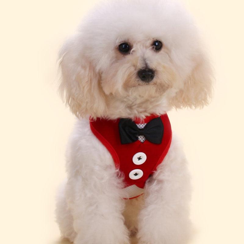 Bowtie Suit for Furry Tuxedo Harness Vest, Leash for Dogs