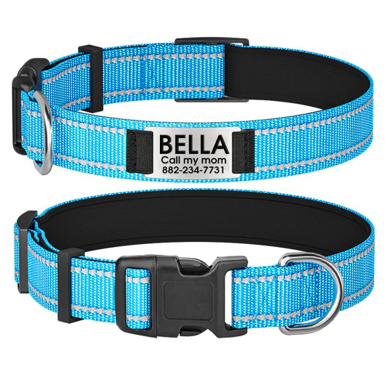 Reflective Personalized Dog Collar with Engraved Name Plate