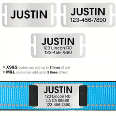 Reflective Personalized Dog Collar with Engraved Name Plate