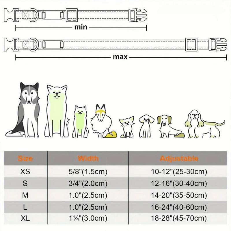 Reflective Personalized Dog Collar with Engraved Name Plate
