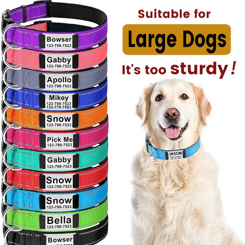 Reflective Personalized Dog Collar with Engraved Name Plate