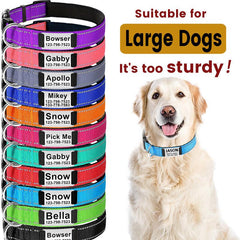 Reflective Personalized Dog Collar with Engraved Name Plate