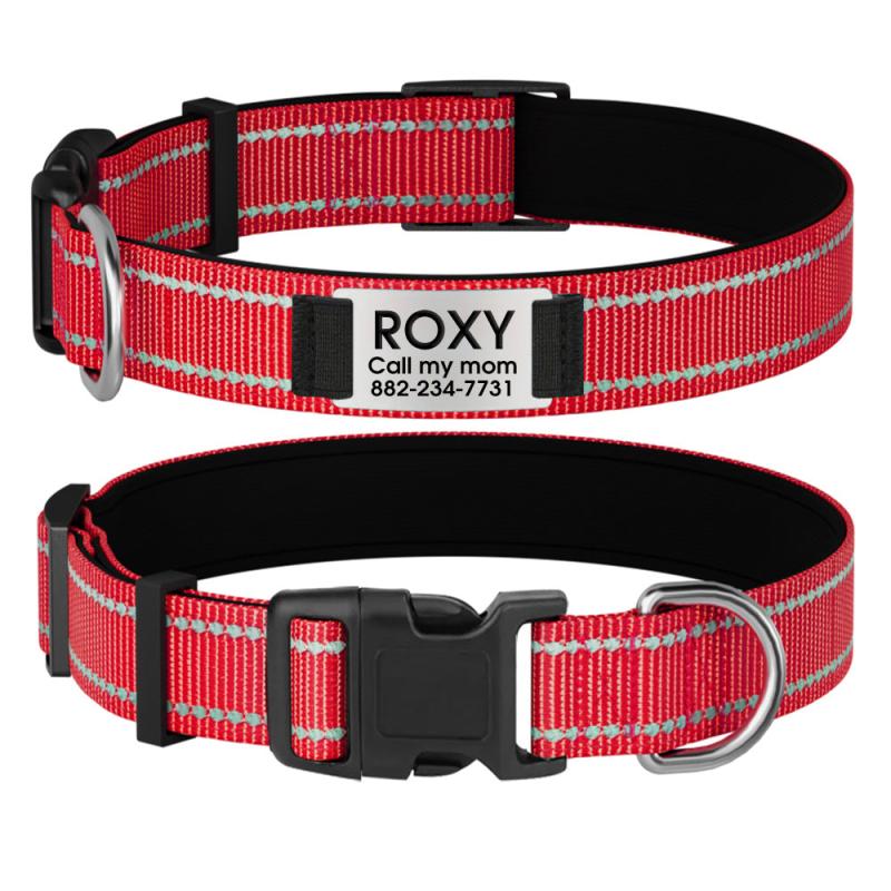 Reflective Personalized Dog Collar with Engraved Name Plate