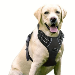 Adjustable No Pull Dog Harness Prevents Choking - Small to Large Dogs