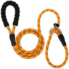 JOYTALE 6 FT Reflective Dog Leash with Padded Handle