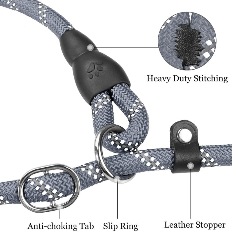JOYTALE 6 FT Reflective Dog Leash with Padded Handle