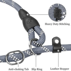 JOYTALE 6 FT Reflective Dog Leash with Padded Handle