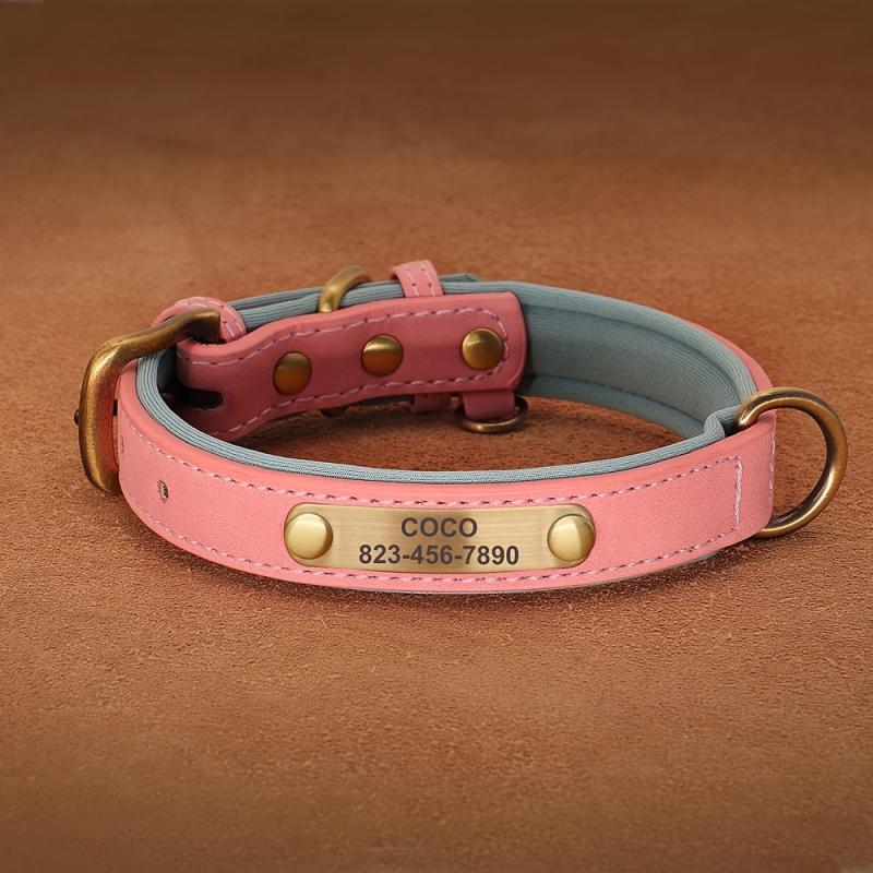 Personalized Leather ID Dog Collar Engraved Nameplate for Dogs