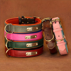 Personalized Leather ID Dog Collar Engraved Nameplate for Dogs