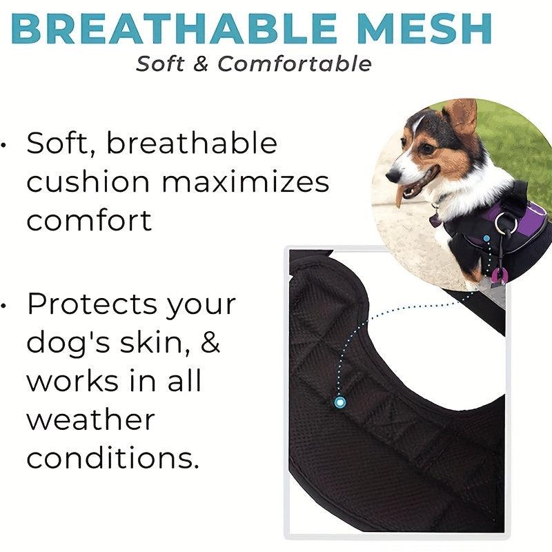 No Pull Dog Harness with 3 Side Rings for Leash Placement