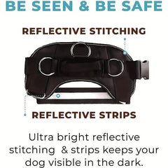 No Pull Dog Harness with 3 Side Rings for Leash Placement