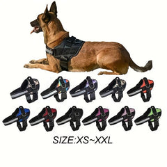No Pull Dog Harness with 3 Side Rings for Leash Placement