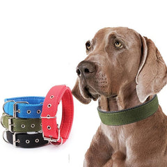 Adjustable Hoop Dog Collars for Pets Comfortable and Durable