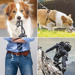 Metal Double Ended Bolt Snap for Dog Leash, Durable Clip