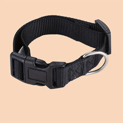 Adjustable Solid Nylon Pet Collar for Dogs
