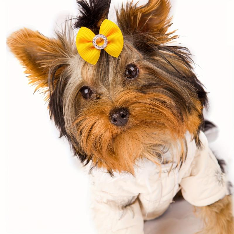 20 pcs Diamond Dog Hair Bows Stylish Pet Headwear for Grooming