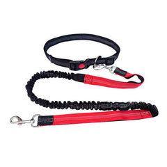 Durable Elastic Nylon Dog Leash for Running and Walking
