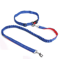 Durable Elastic Nylon Dog Leash for Running and Walking