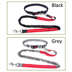 Durable Elastic Nylon Dog Leash for Running and Walking
