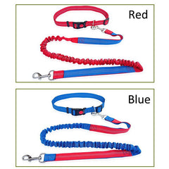 Durable Elastic Nylon Dog Leash for Running and Walking