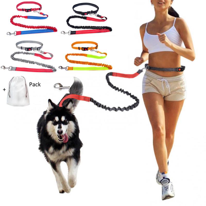 Durable Elastic Nylon Dog Leash for Running and Walking