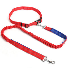 Durable Elastic Nylon Dog Leash for Running and Walking
