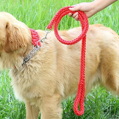 Braided Dog Training Leash Set for Small Medium Large Dogs