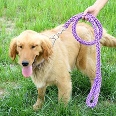 Braided Dog Training Leash Set for Small Medium Large Dogs
