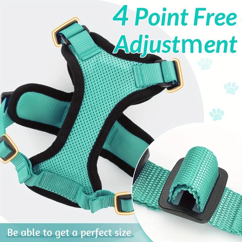 Escape Proof Cat Harness & Leash for Walking & Exploring