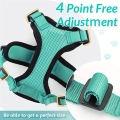 Escape Proof Cat Harness & Leash for Walking & Exploring