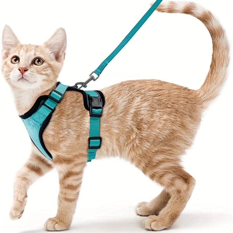 Escape Proof Cat Harness & Leash for Walking & Exploring